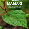 Mamaki Memory® - Brain Support Supplement 30ct